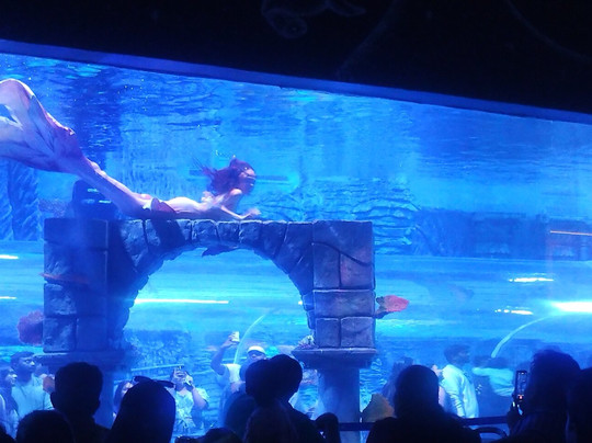 Aquarium Paradise-班加罗尔必去景点