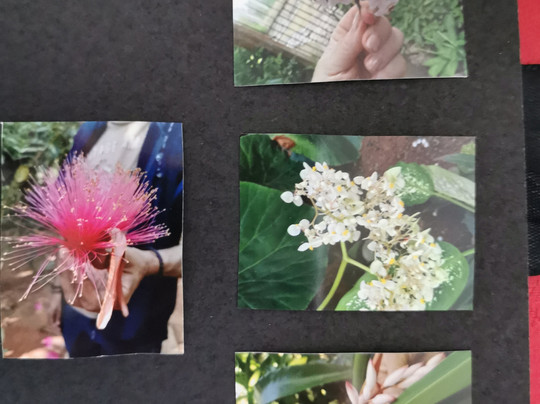 Jardin Botanico de Viñales-维纳勒斯必去景点