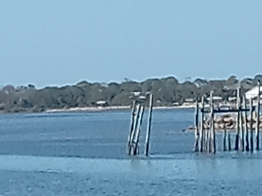 Cedar Key Adventures-锡达礁必去景点