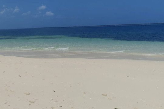 UROA SMILE TOURS-乌罗阿必去景点