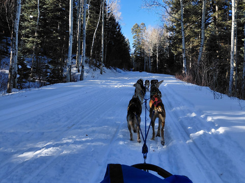 Mountain Paws-帕戈萨斯普林斯必去景点