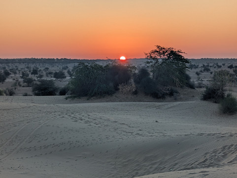 Incredible India by Car-新德里必去景点