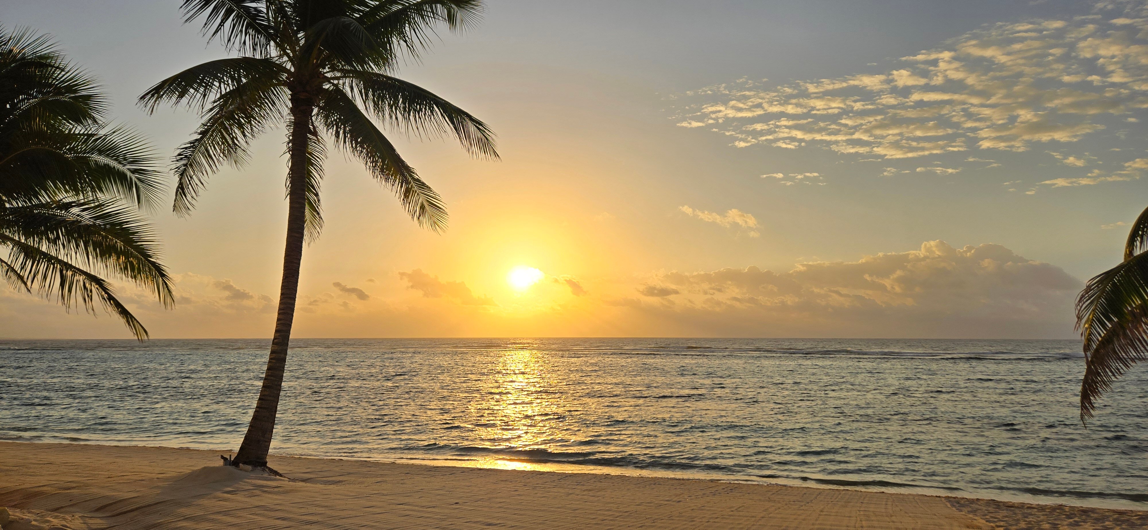 Turtle Nest Inn-官方