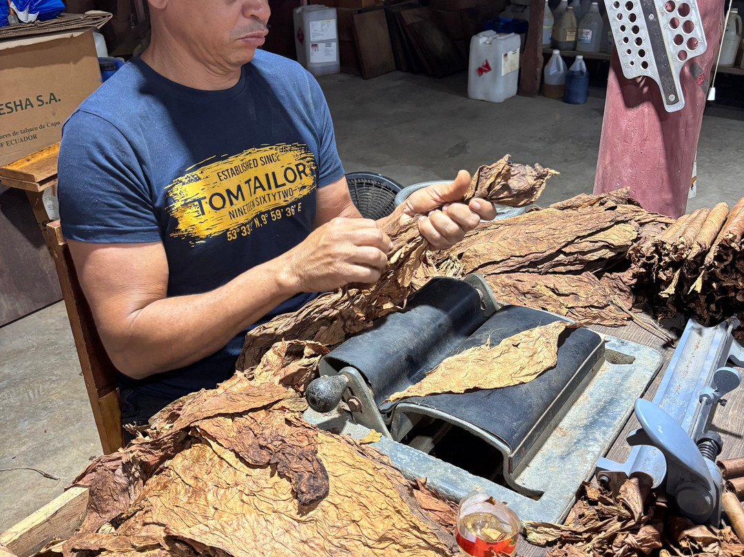 Zemis Tobacco and Cigars Factory-圣地亚哥必去景点