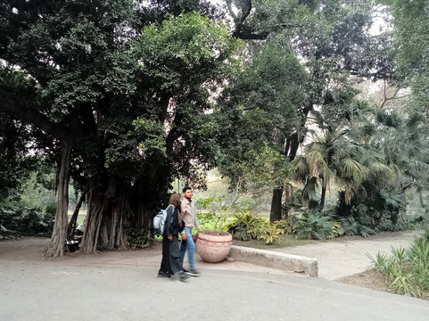 Bagh-e-Jinnah-拉合尔必去景点