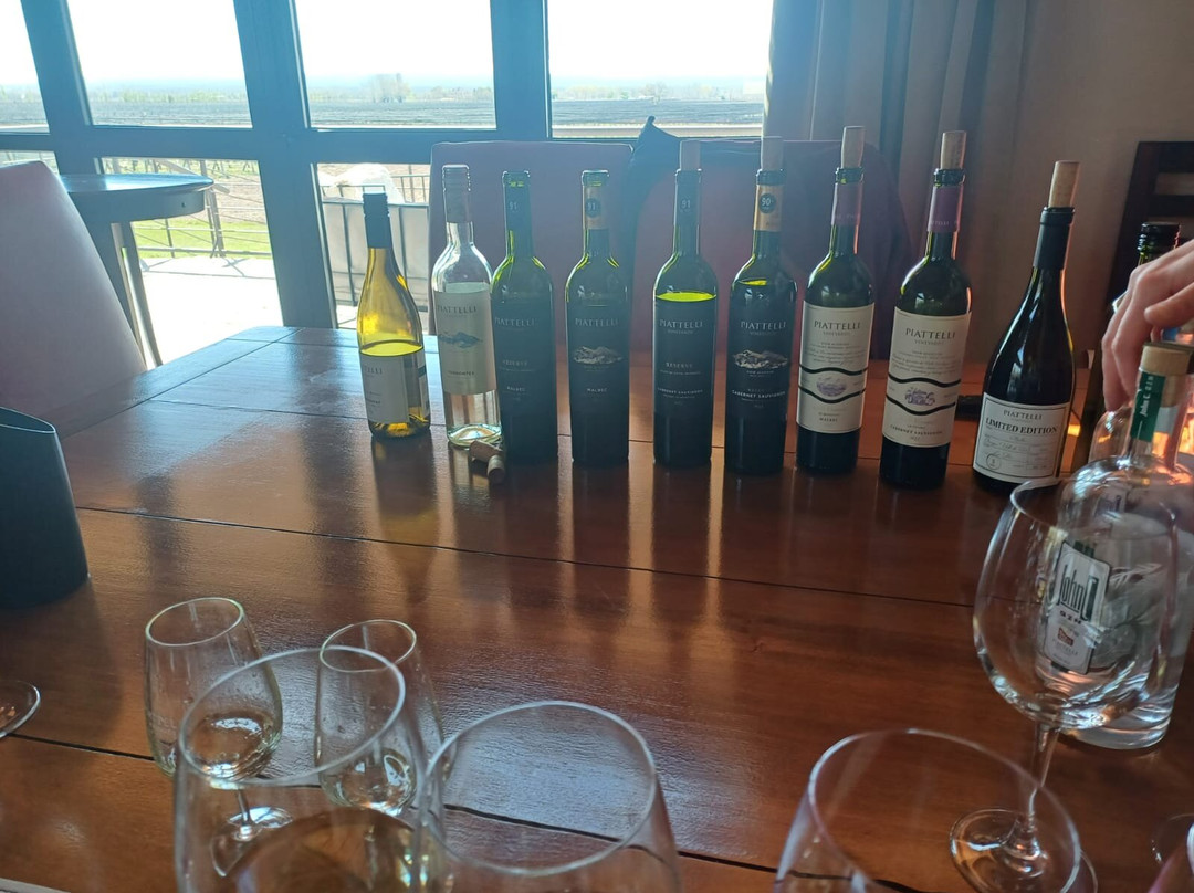 Bodega Piattelli Agrelo, Mendoza-阿格雷洛必去景点