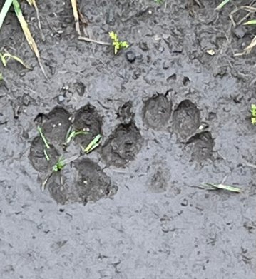 The Shears Inn-官方