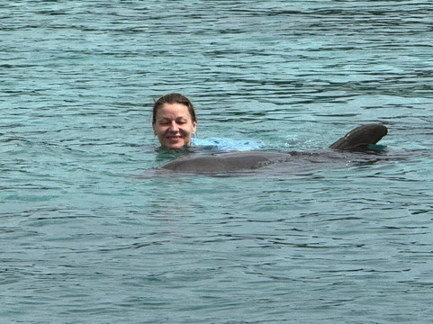 Dolphin Academy Curacao-威廉斯塔德必去景点