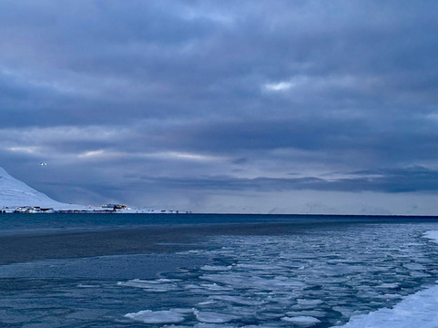 Svalbard Wildlife Expeditions-朗伊尔城必去景点