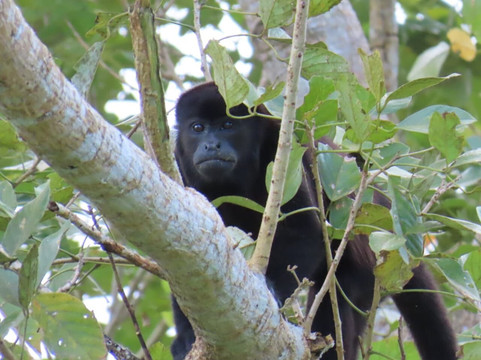 Trips Panama-巴拿马城必去景点