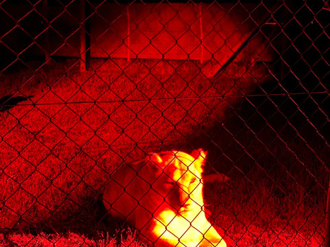 Jukani Wildlife Sanctuary-The Crags必去景点