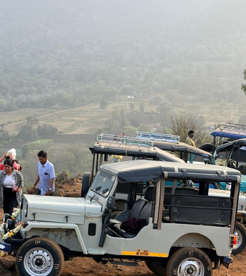 Masinagudi Jeep Safari