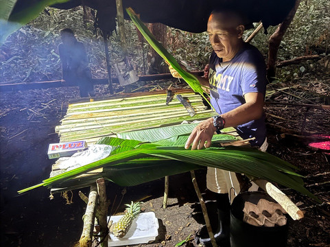 Amazon Green Tours-玛瑙斯必去景点