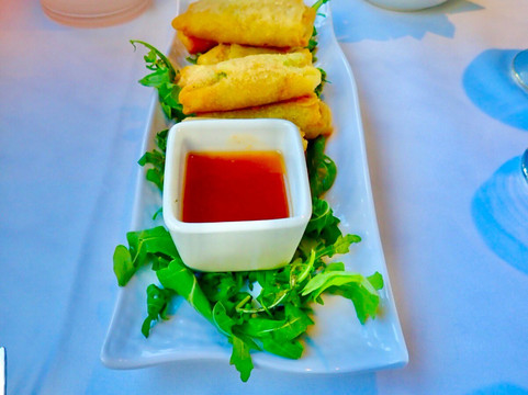 City Cruises Toronto-多伦多必去景点