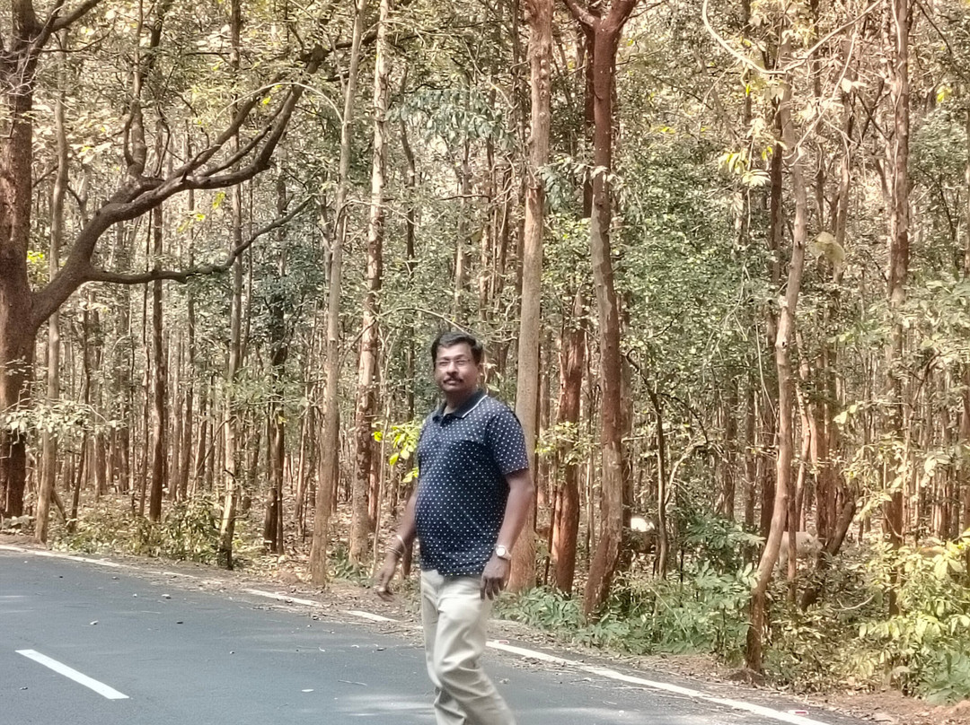 Get Set Go Travels-维沙哈巴南必去景点