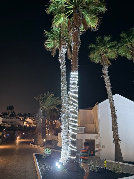 弗拉明戈海滩集团酒店-官方