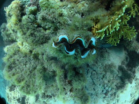 Slice Of Life-卓得多斯必去景点