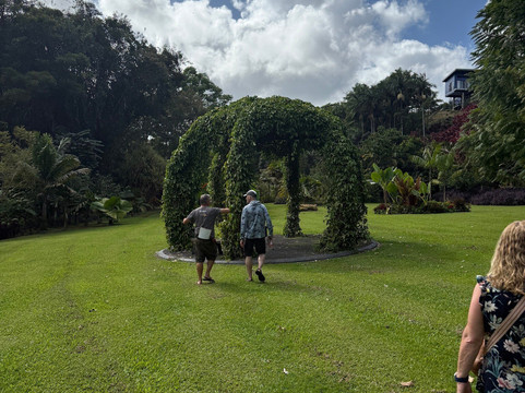 Hamakua Chocolate Farm-帕派科欧必去景点