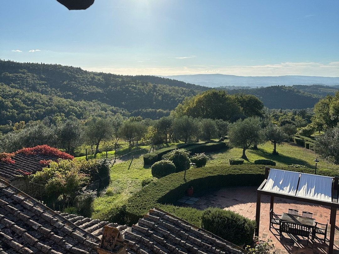 Podere Patrignone主图