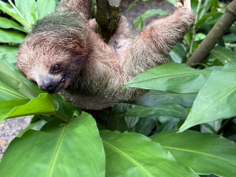 Tamarindo Dreamers Adventure-塔马林多必去景点