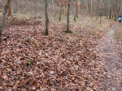 Saint Mary-Le-More-沃灵福德必去景点