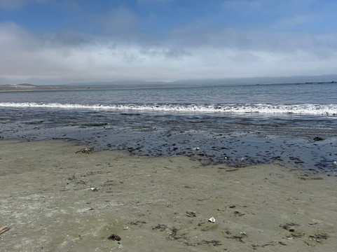 Playa Grande-Tongoy必去景点