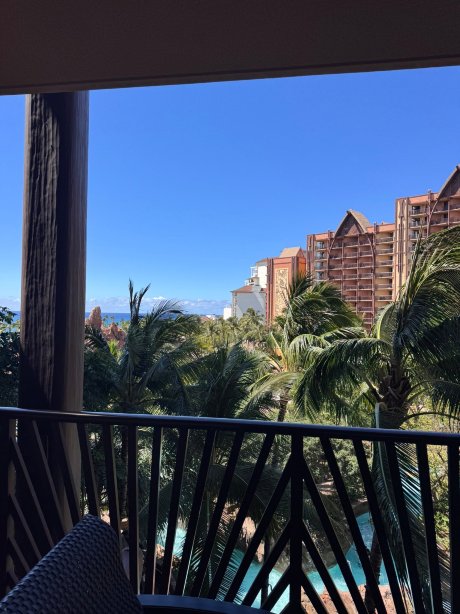 奥拉尼迪士尼度假俱乐部别墅-官方