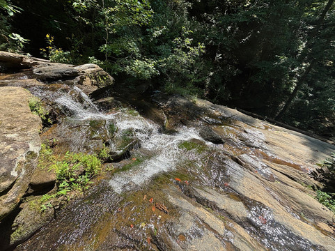 Stumphouse Mountain Tunnel-Walhalla必去景点