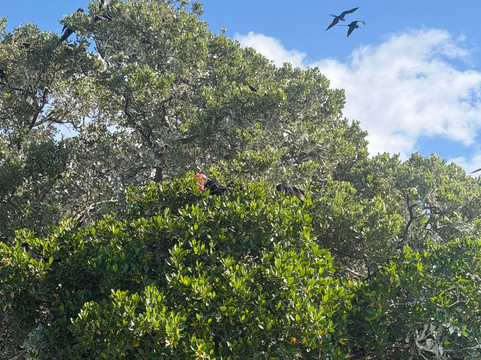 Blue Caribe-艾库玛尔必去景点