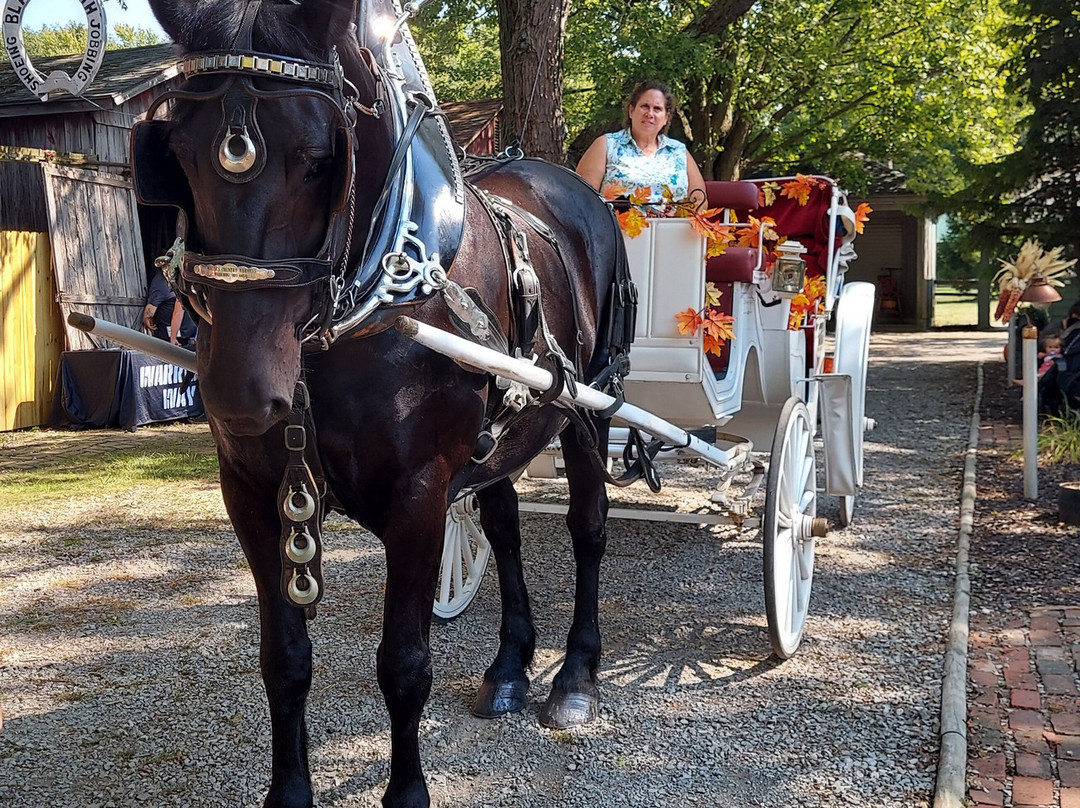Ghost Town Findlay, Ohio