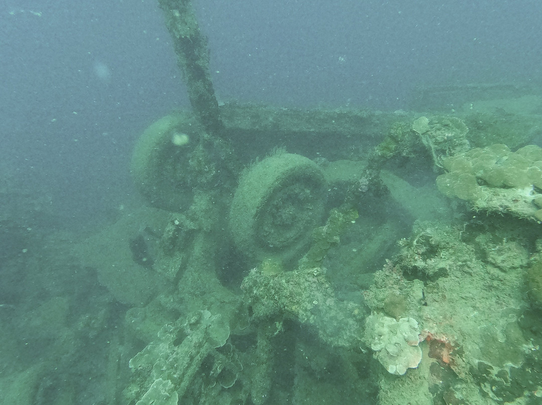 Pacific Dive-卢甘维尔必去景点