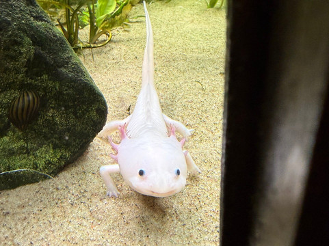 Tropikariet-赫尔辛堡必去景点