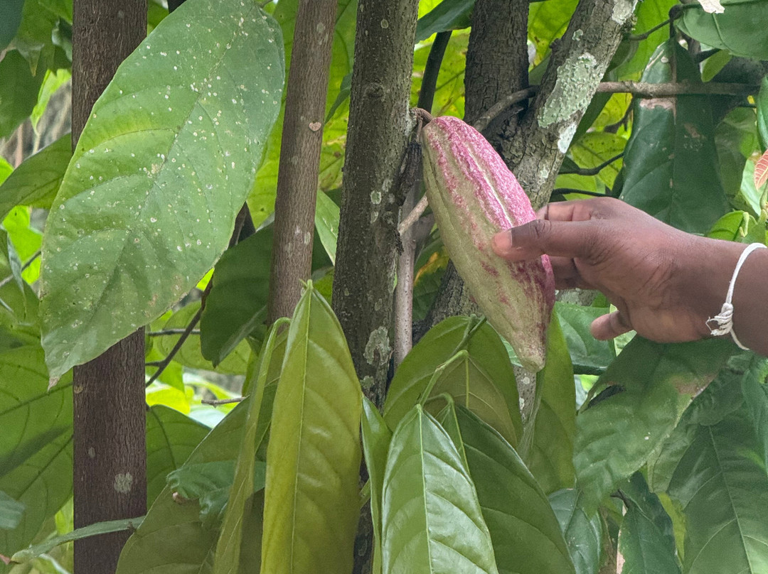 Miles In Paradise-哈巴拉杜瓦必去景点