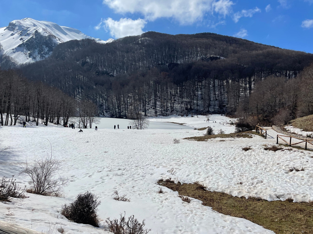 Agriturismo il Giglio del Cavaliere主图