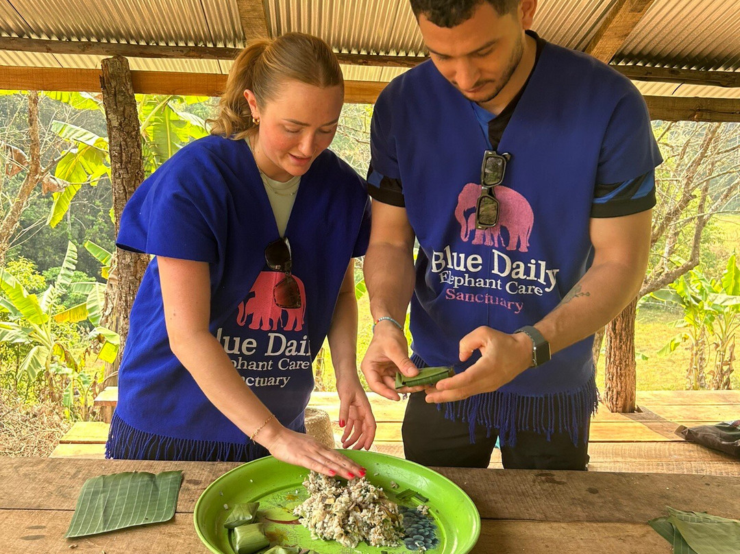 Blue Daily Elephant Care Sanctuary-清迈必去景点