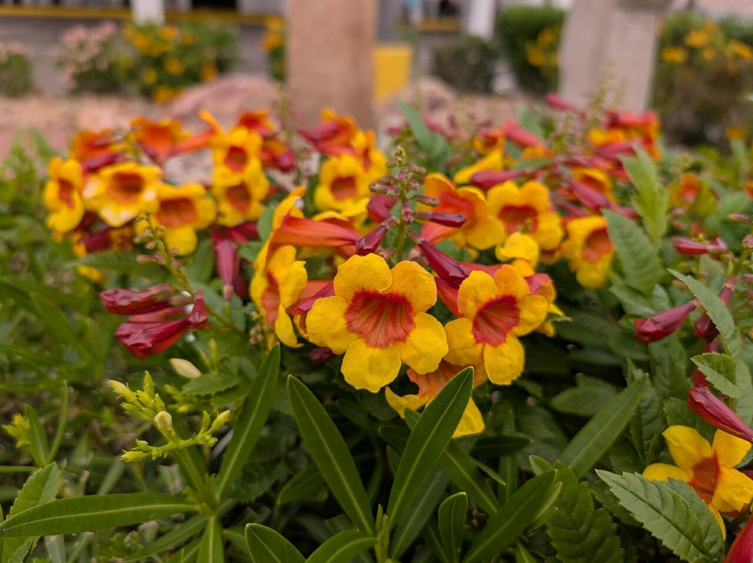 Shangri La River Suites主图