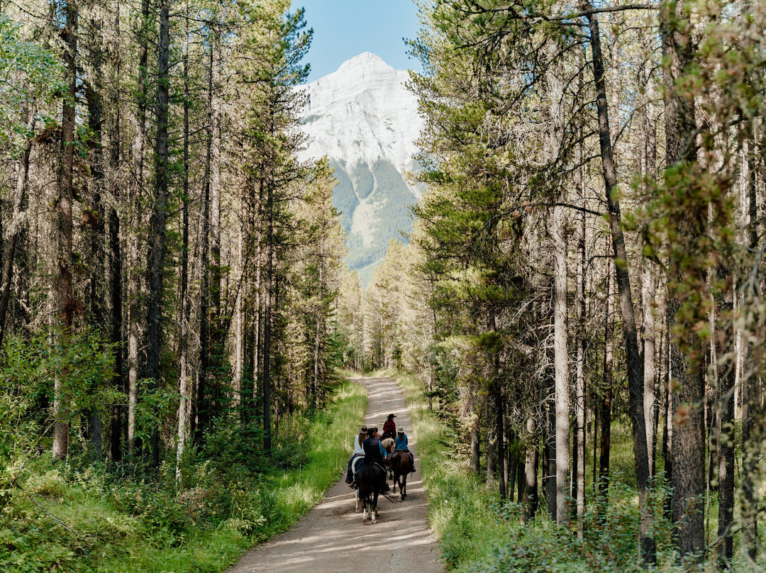 Boundary Ranch-卡那那斯基斯必去景点