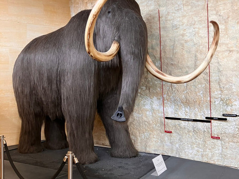 PERIGORD WELCOME-萨尔拉必去景点