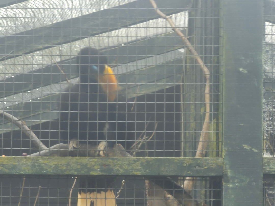 Paignton Zoo Environmental Park-佩恩顿必去景点
