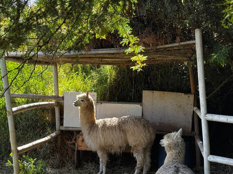 利马里酒店主图