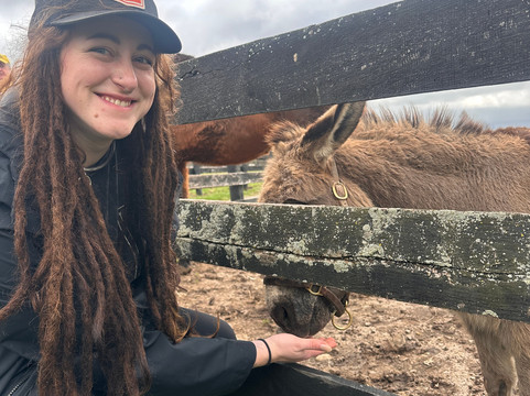 Old Friends at Dream Chase Farm-Georgetown必去景点