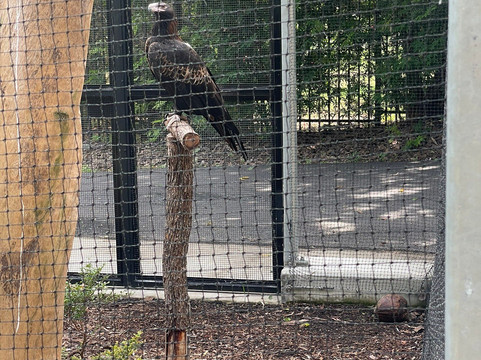 Rockhampton Zoo-罗克汉普顿必去景点