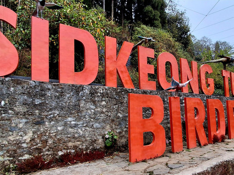 Sidkeong Tuluk Bird Park-West Sikkim必去景点