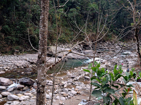 River Orange Garden-Pelling必去景点