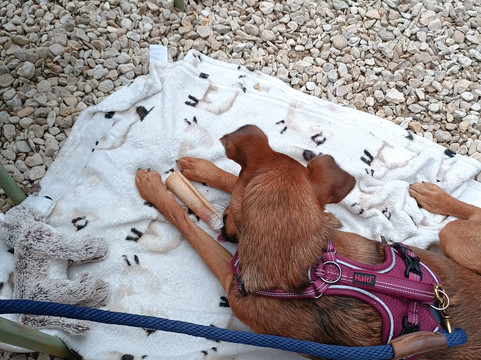 Riverbarn Kitchen and Bed & Breakfast主图