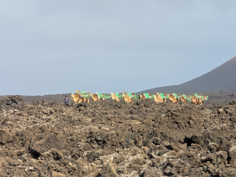 Rotonda De Los Camellos-Uga必去景点