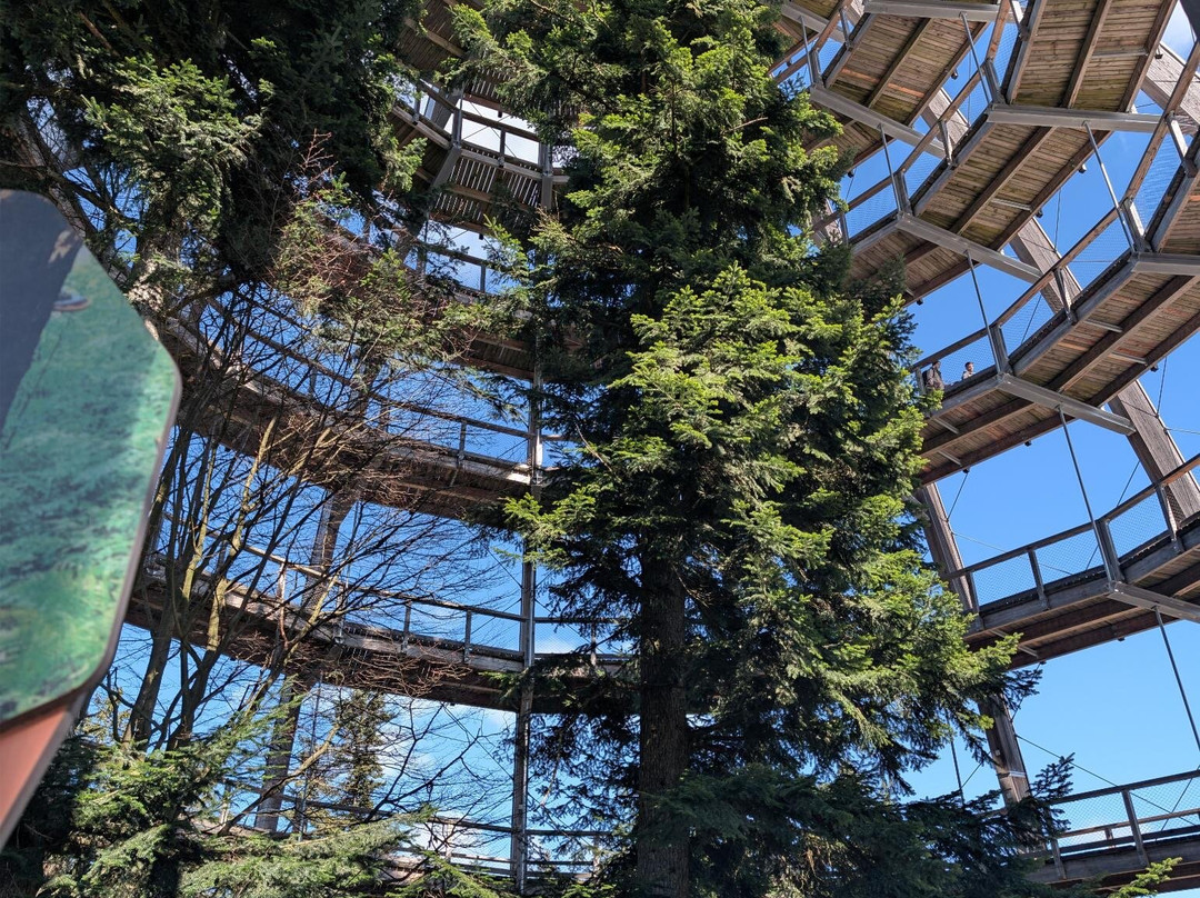 Baumwipfelpfad Bavarian Forest-Neuschonau必去景点