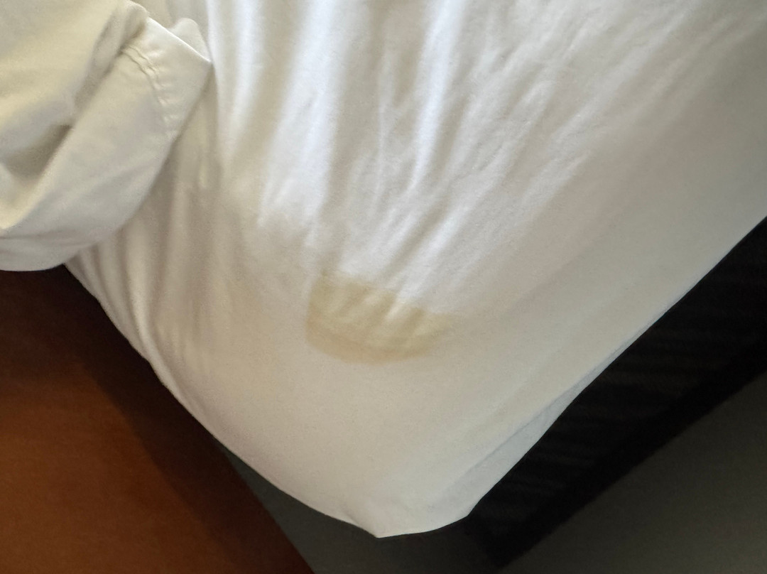 里士满树木园凯悦嘉轩酒店主图