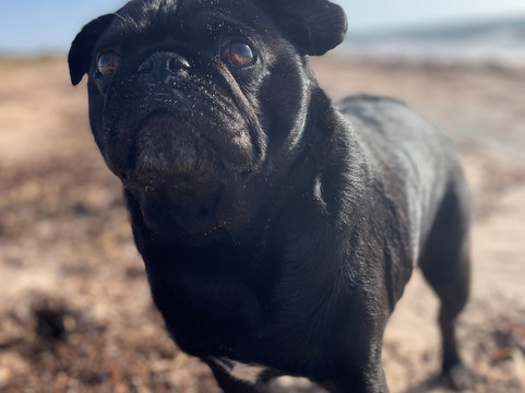 阿德罗森汽车旅馆主图