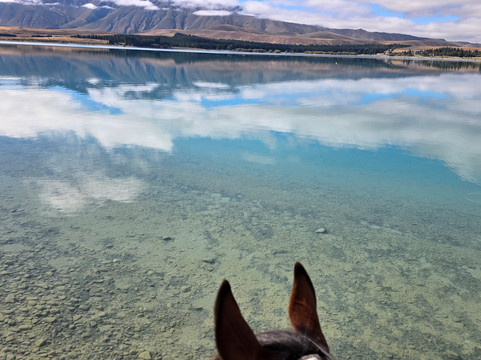 麦肯西高山骑马之旅－一日游-特卡波湖必去景点